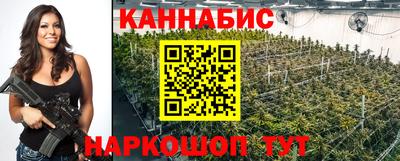 спайс Гатчина