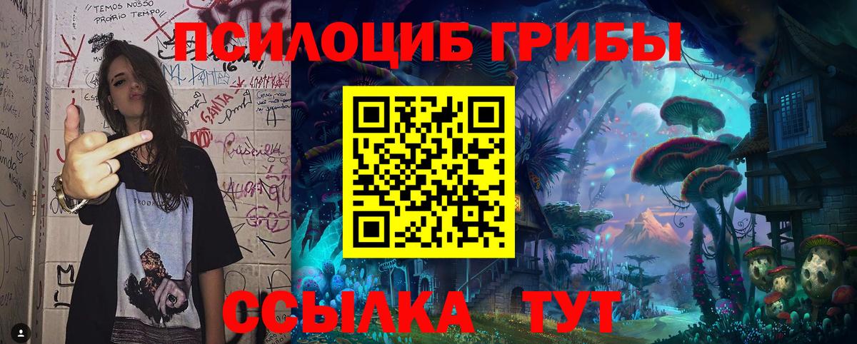 Галлюциногенные грибы Psilocybine cubensis Элиста