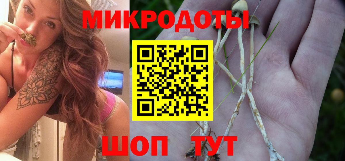 Элиста  Галлюциногенные грибы GOLDEN TEACHER  Вход с VPN 